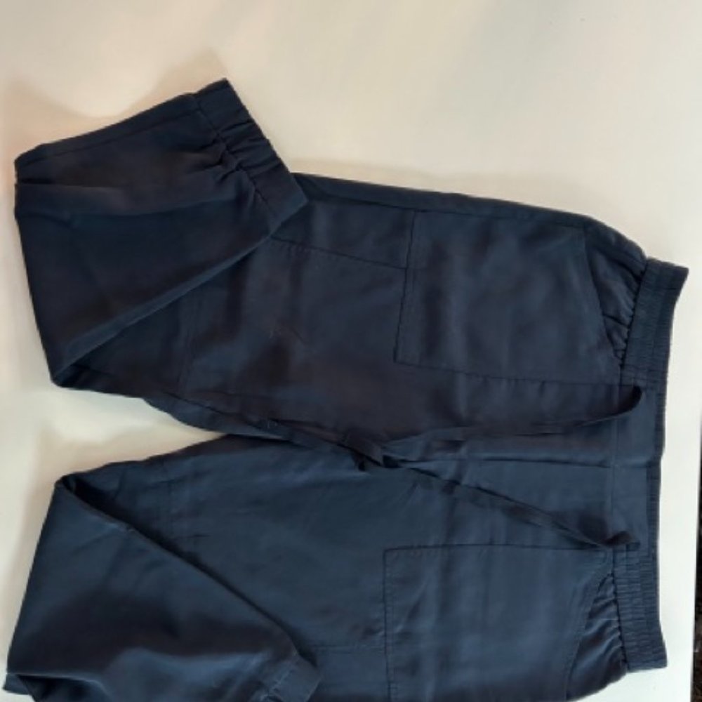 Banana Republic Navy Silky Jogger (NWT, Size 14R)